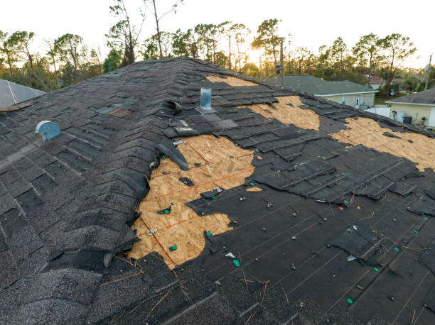 Best Roof Leak Repair  in Masury, OH